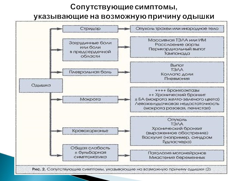 Сопутствующие симптомы,  указывающие на возможную причину одышки